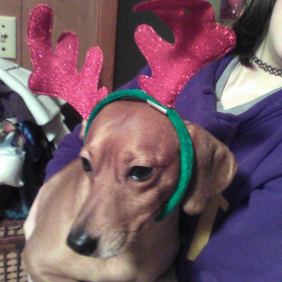 none - Picture 3 of 16